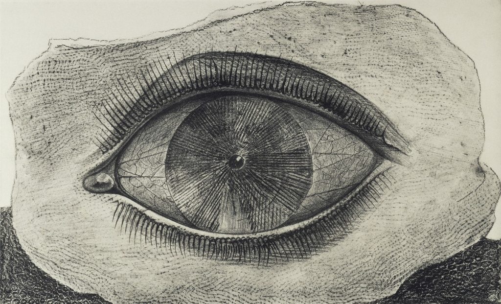 Max Ernst: Lichtrad / la roue de la lumière, aus: Histoire Naturelle, Blatt 29, 1926. Lichtdruck nach Frottage, 32,5 x 50 cm. Sammlung Würth © VG Bild-Kunst, Bonn 2024