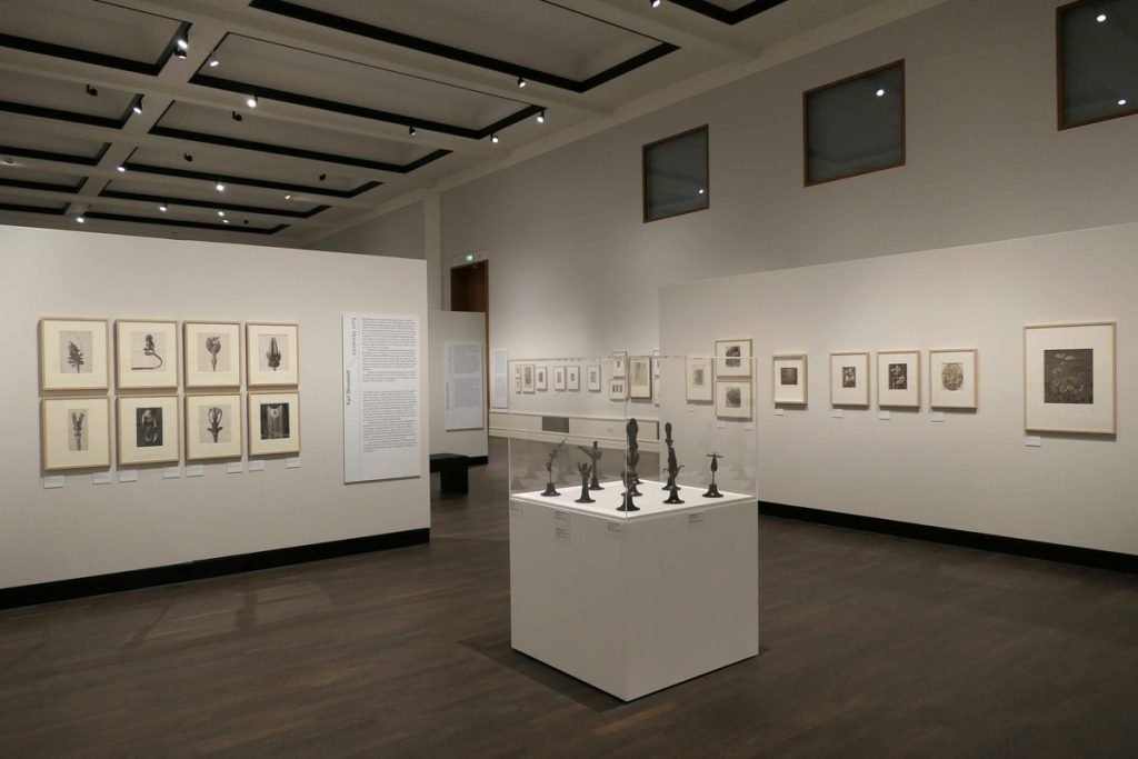 Ausstellungsraum und Hängung im Museum für Fotografie, (c) Staatliche Museen zu Berlin, Kunstbibliothek / August Haverkamp