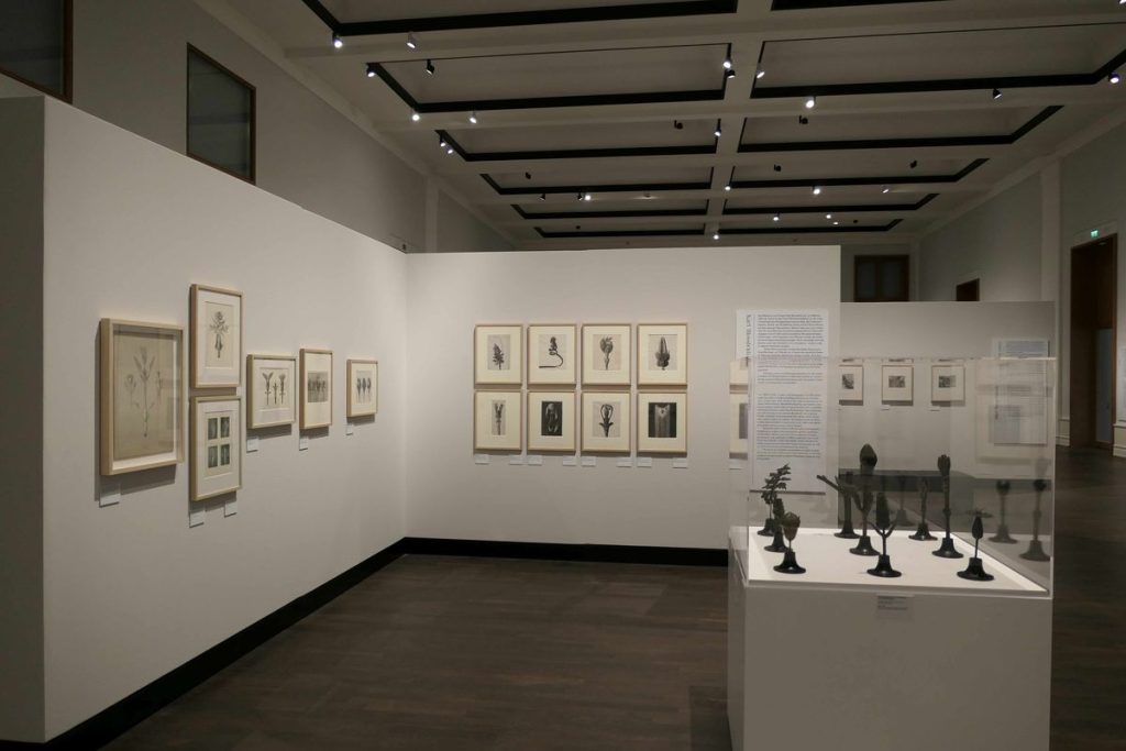 Ausstellungsraum und Hängung im Museum für Fotografie, (c) Staatliche Museen zu Berlin, Kunstbibliothek / August Haverkamp